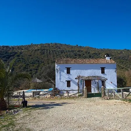 Отель Enrique Calvillo